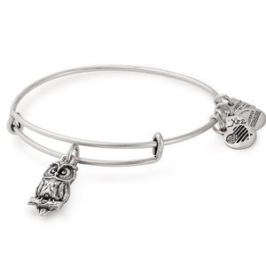 Alex and Ani Owl Charm Bangle | Flying Kites